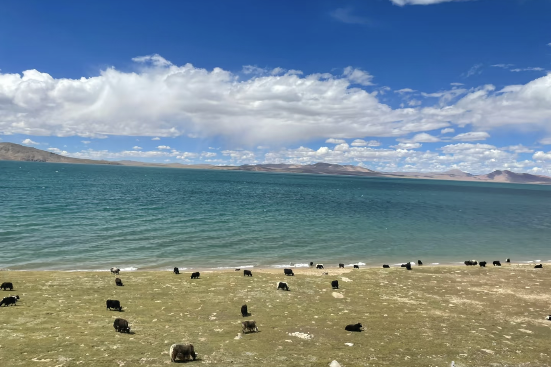 Cuona Lake